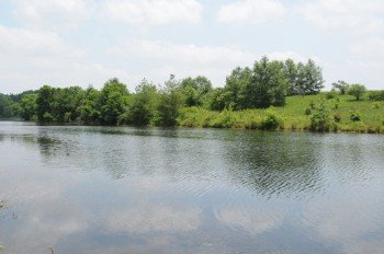 Property photo 33 - 1,025 Acres in 24 Tracts - Exellent Recreation Opportunity - Potential Building Sites - 11 Lakes & Ponds